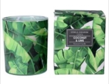 Banana leaves scented boxed candle pot