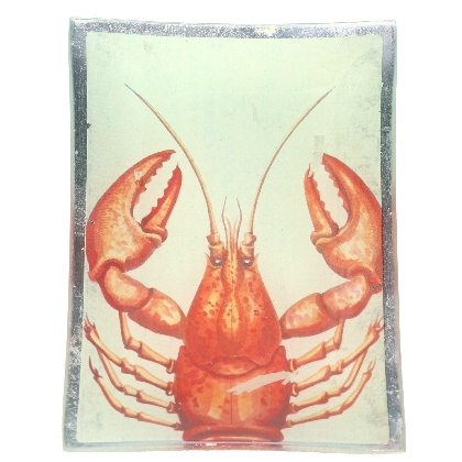glass-lobster-print-rest-decorative-plate