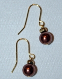 Southsea shell earrings brown